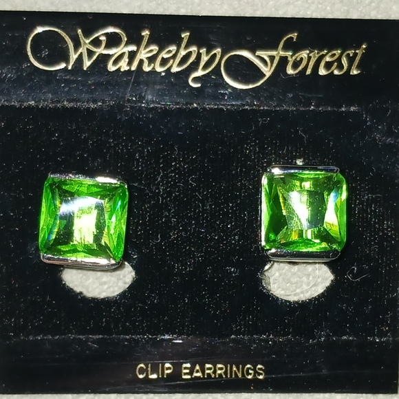 Wakeby Forest Jewelry - Wakeby Forest Green Clip Earrings